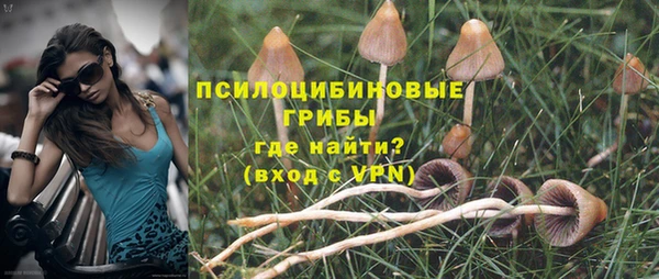 apvp Лихославль