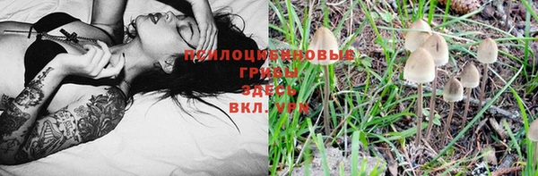 бошки Магас