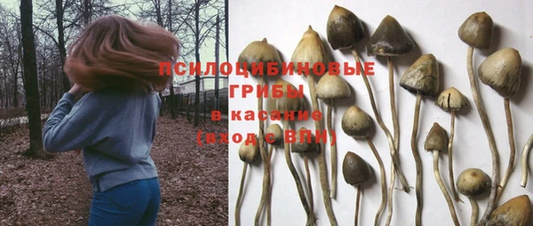 apvp Лихославль