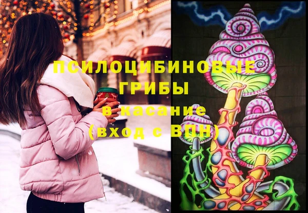 ГАЛЛЮЦИНОГЕННЫЕ ГРИБЫ Алапаевск