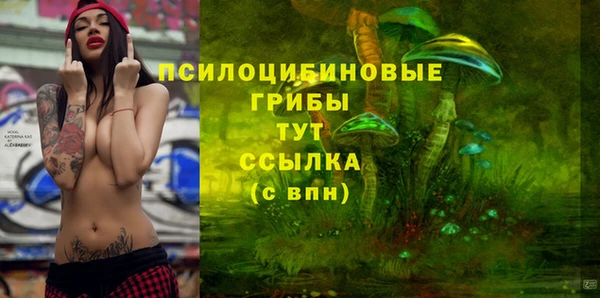 ГАЛЛЮЦИНОГЕННЫЕ ГРИБЫ Лиски
