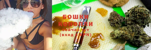 ГАЛЛЮЦИНОГЕННЫЕ ГРИБЫ Сосновка