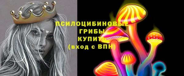 ГАЛЛЮЦИНОГЕННЫЕ ГРИБЫ Лиски